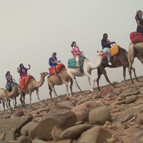 Ouzoud Waterfalls - Morocco's highest waterfalls in Atlas Mountains